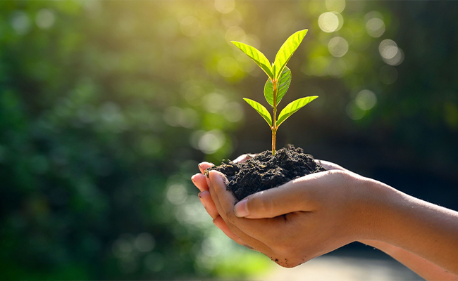 Zlepšit environmentální povědomí zaměstnanců